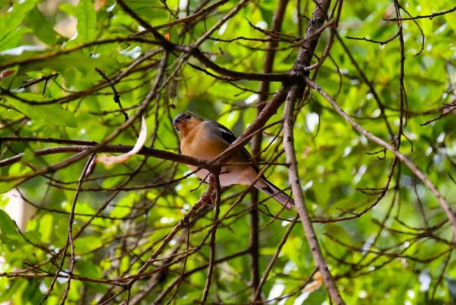 Steinhaus in Berglandschaft