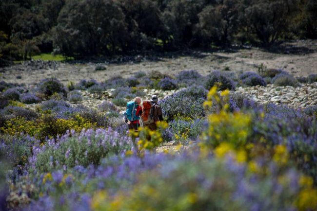 Steintreppe in den Anden
