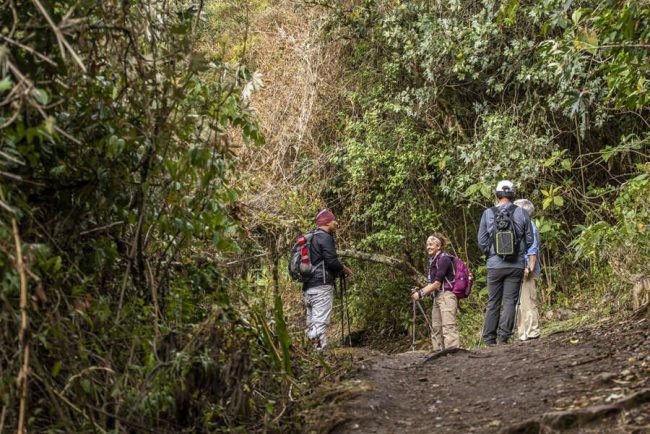 F&uuml;hrung in den Ruinen