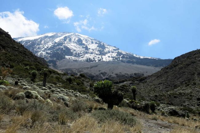Tanzania National Parks Eingang