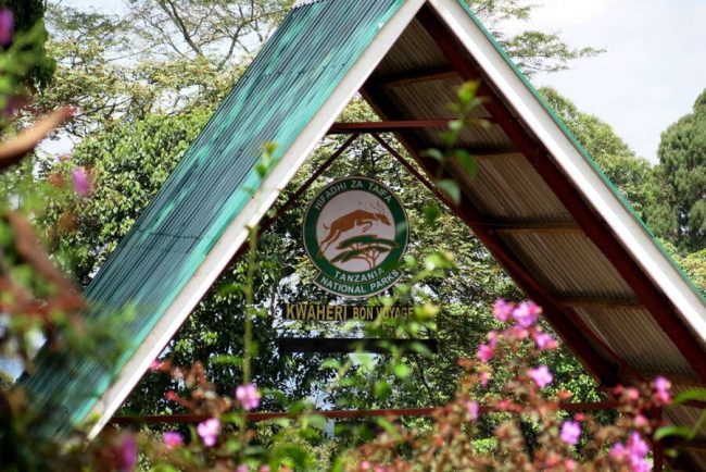 Berglandschaft mit Basislager