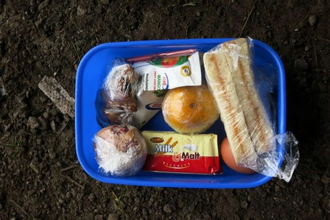 Wanderung durch Senecien-Landschaft