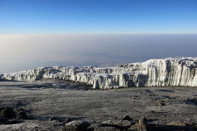 Rot-gelbe Bl&uuml;te