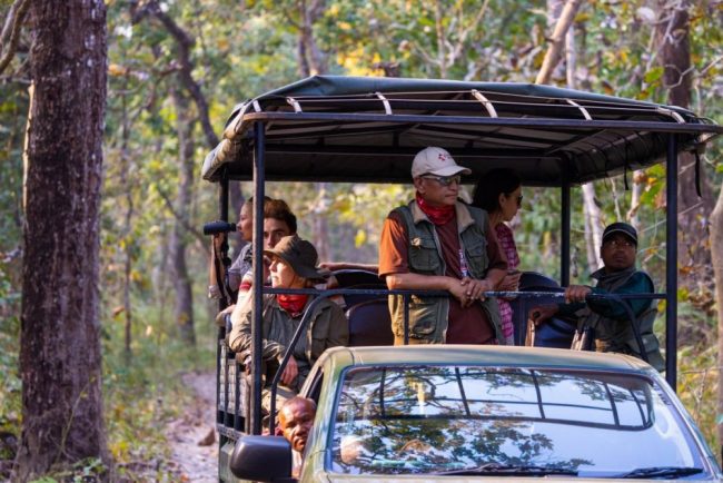 Safarifahrzeug auf einer Waldpiste im Chitwan-Nationalpark, Nepal