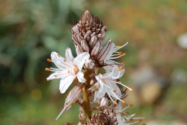 Meerblick von der K&uuml;ste