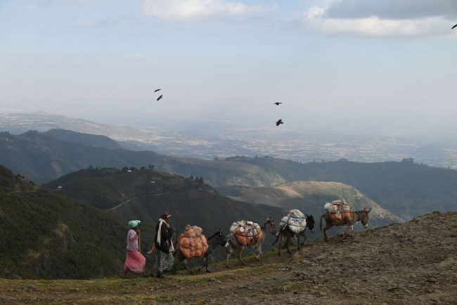 Traditionelles Portr&auml;t