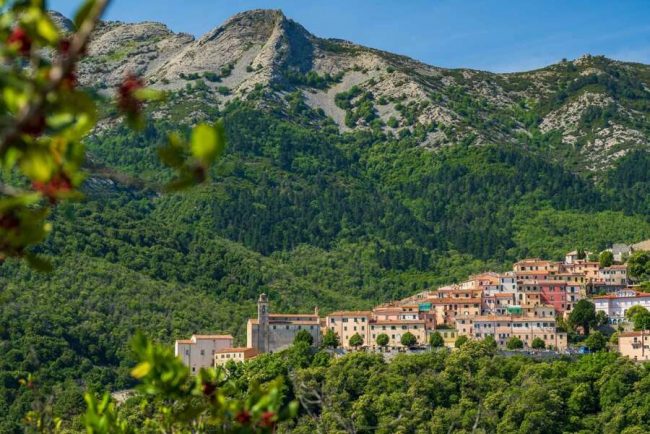 Buchtblick mit Kaktusfeigen