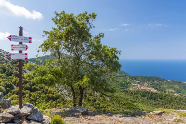 Wanderer auf dem Gipfel