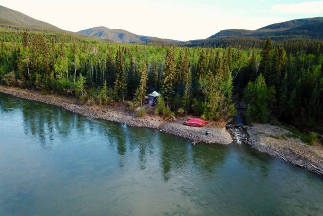 Diamond Tooth Gerties