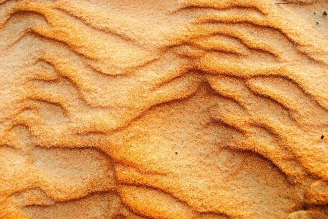 Oase mit Dattelpalmen