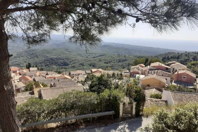 Wanderung durch die Blumenwiese