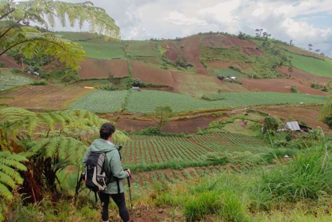 Wasserfall-Wanderung
