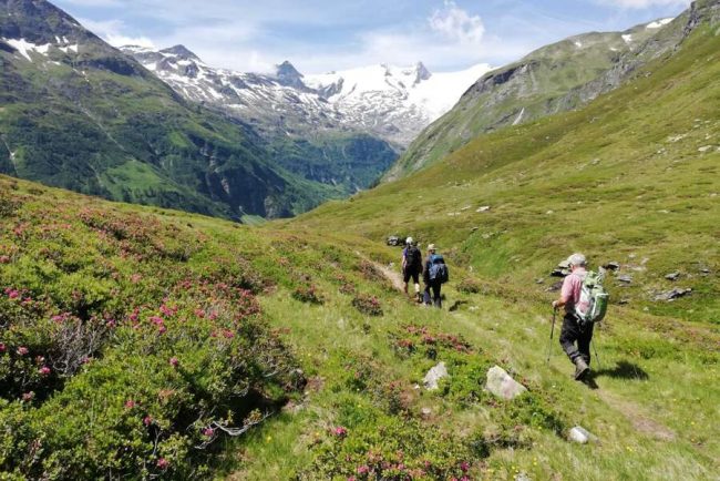 Wanderrucks&auml;cke