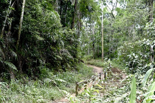 Dua Bar Wandgem&auml;lde