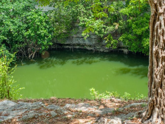 Cenote im Gebiet von Chichen Itza