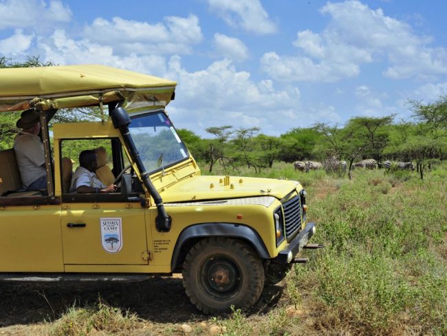 Zebras mit Kilimandscharo im Tsavo West NP