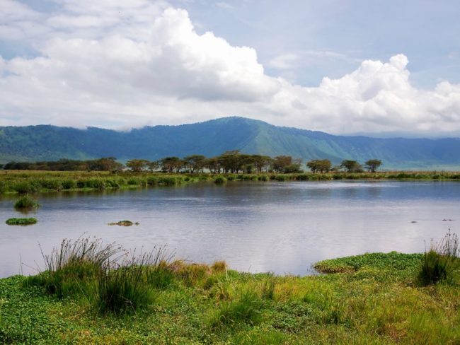 Lake Manyara Nationalpark