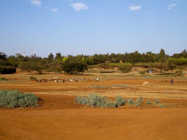 Karatu
