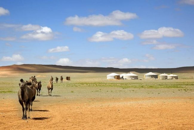 Besuch bei den Kamelen.