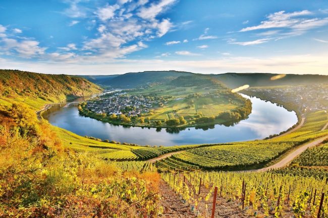 AdobeStock_542905595_Weinberg_Rhein_klein