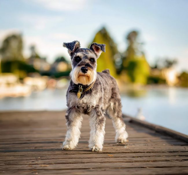 wien-brunnen-gartenanlage