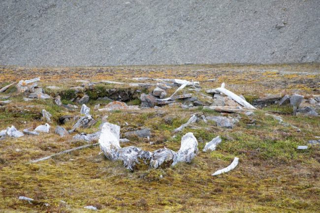 Thule arch&auml;ologische St&auml;tte am Caswell Tower in Radstock Bay, Devon Island, Nunavut, Kanada.