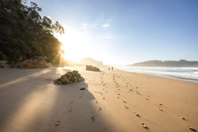 Hot Water Beach in Coromandel