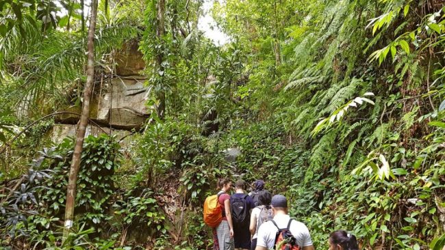 Wanderung im Bako-Nationalpark