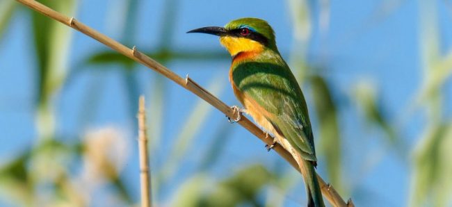 Hintergrund