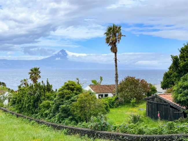 Palmen, Meer und Vulkanblick auf den Azoren bei S&atilde;o Jorge