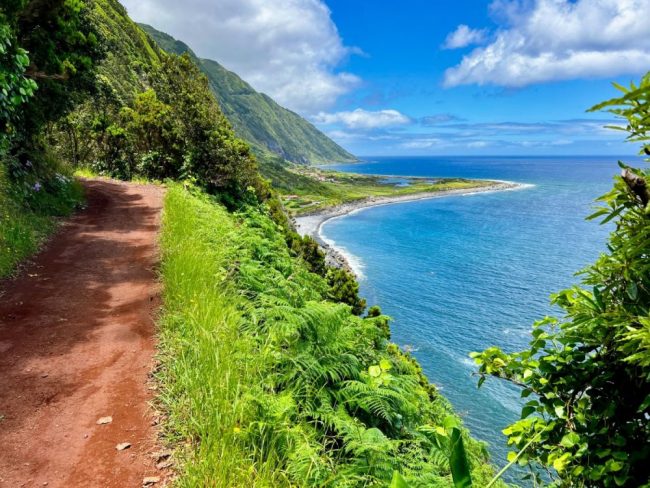 K&uuml;stenpfad &uuml;ber einer gr&uuml;nen Bucht auf S&atilde;o Jorge, Azoren