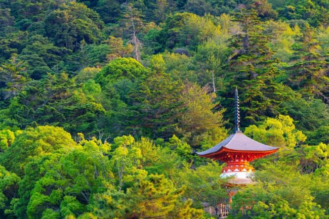 Rote Pagode im Wald von Miyajima, Japan