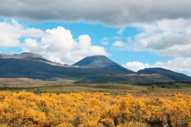 Mount Tongariro