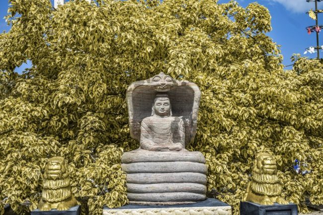Statue im Nagadeepa-Tempel