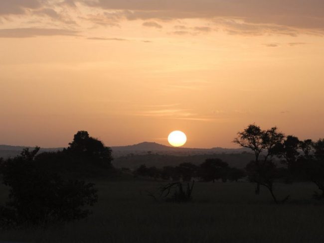 Abendstimmung in der Serengeti, Tansania