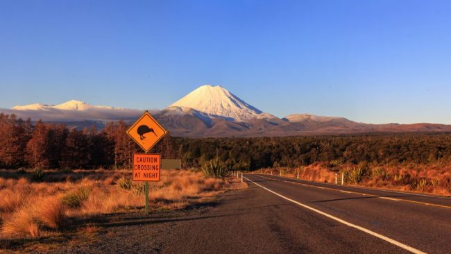 Kiwi-Verkehrsschild und Vulkan Ngauruhoe im Tongariro-Nationalpark