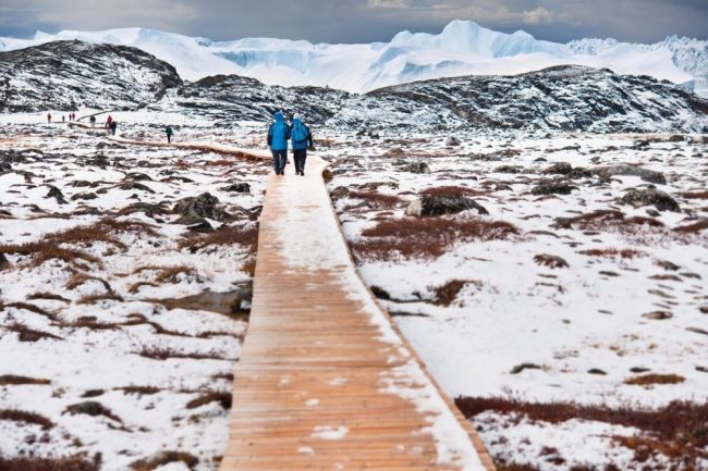 Auf Landgang &ndash; Wandern in der Tundra