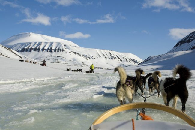 Hundeschlitten-Tour auf Spitzbergen