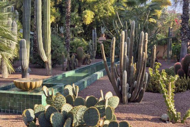 Jardin Majorelle in Marrakesch