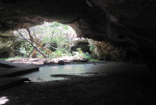 Ausgetrocknete  Cenote