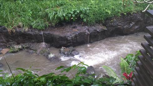 Eindrücke vom Ayung River