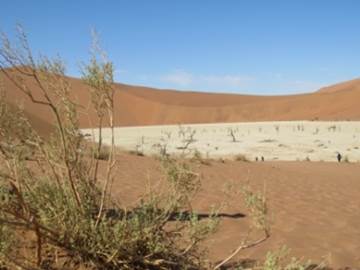 Dead Vlei
