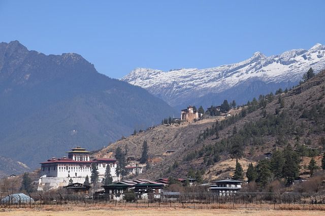 Paro