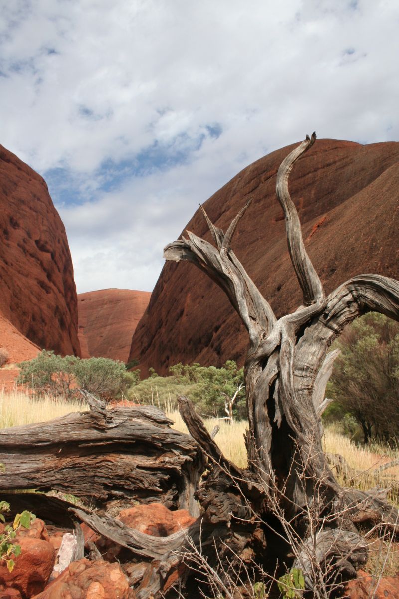 Kata Tjuta ca. 30 km vom Uluru entfernt